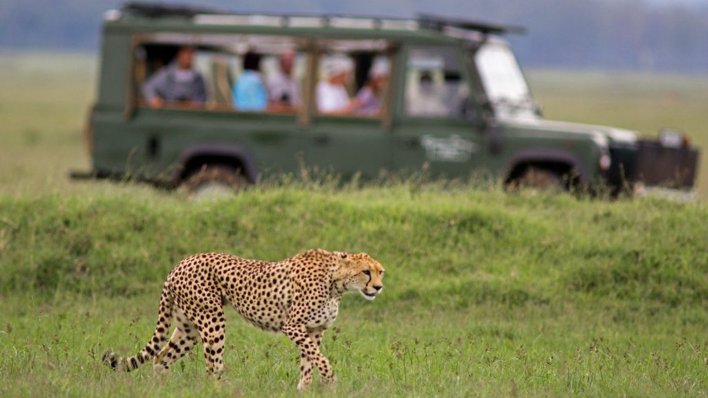 African Safari – It’s more than just about wildlife