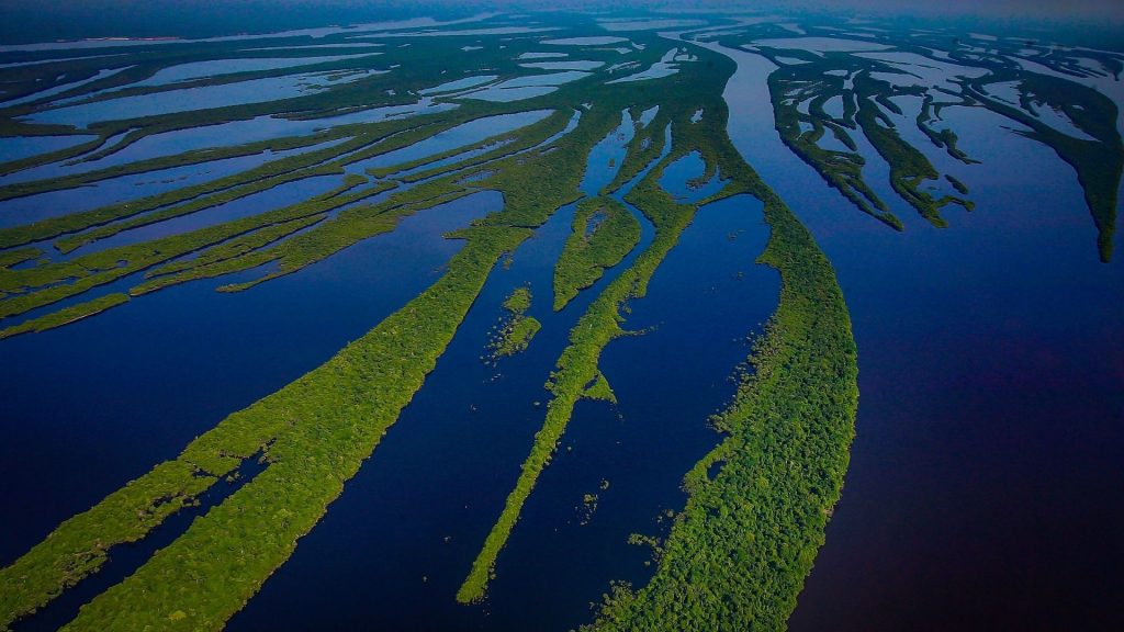 Amazon River  