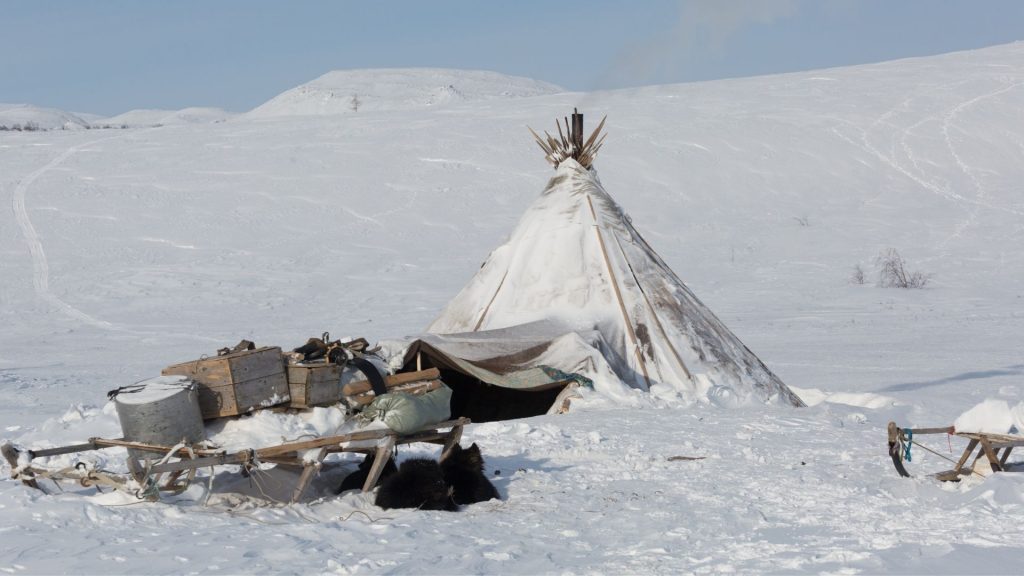 Siberia- Camp with Nenet reindeer herders