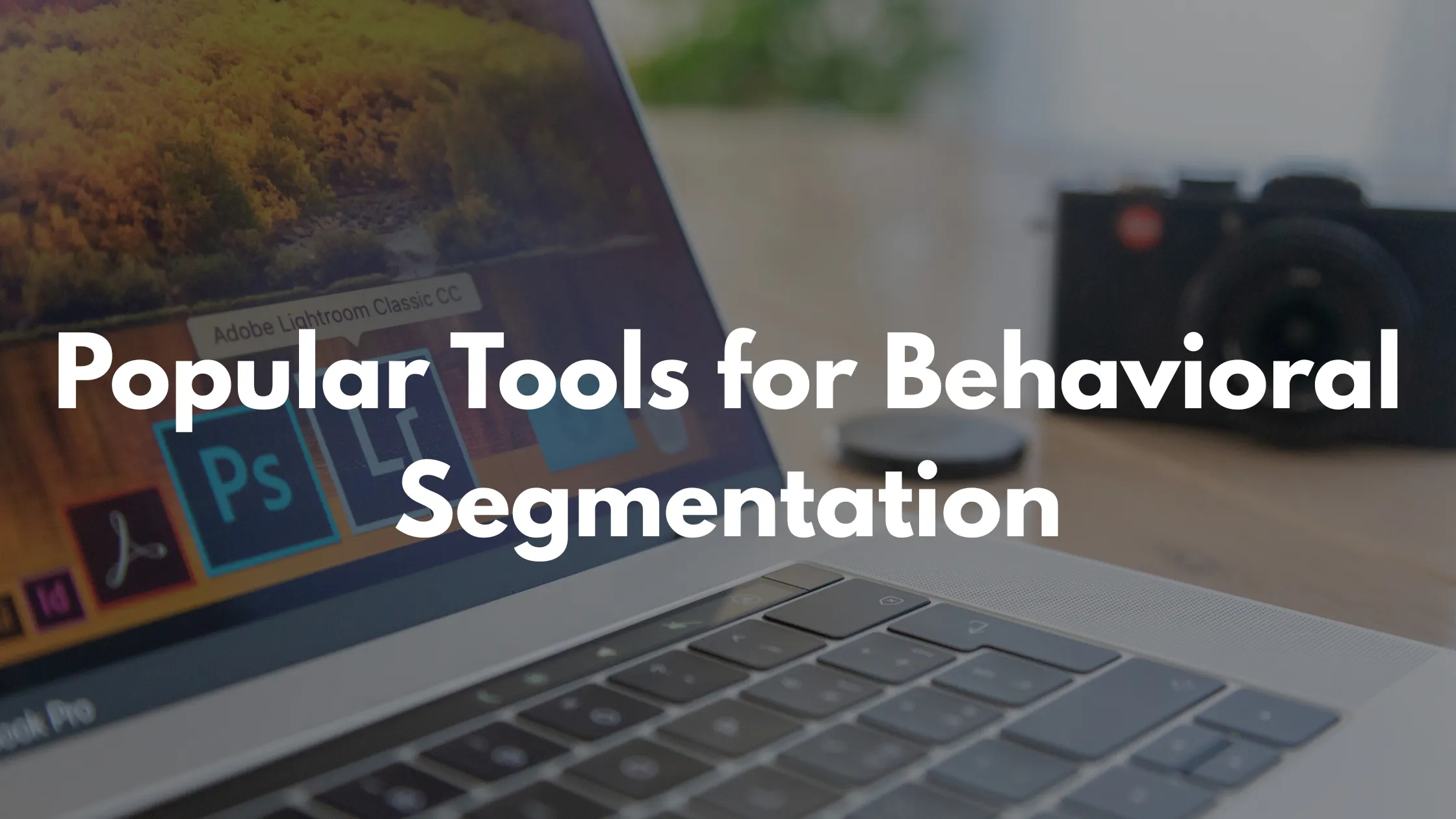 Popular Behavioral Segmentation tools